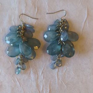 Elegant Blue Dangle Earrings
